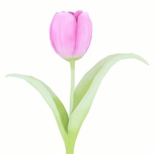 Meet your Posher, Madi